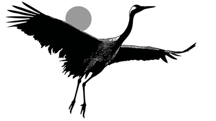 Fototapeta premium A crane in flight, rendered in black and white, soaring against a white background with a gray circle