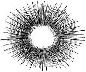 Obraz premium Vintage Moon Face Illustrations in Engraved Celestial Style