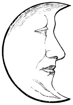 Artistic moon face illustration line art