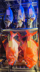 Vibrant display of freshly caught fish of orange and blue colour hanging on a hook in a market in fridge or refrigerator with clear blank price tag or card ready for preparation for cooking and eating