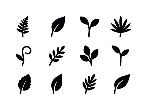 Nature Foliage Icons. Nature foliage icons. Solid icon set of nature foliage icons: fern leaf, simple leaf, plant stem, palm shape, vine curl, foliage branch,