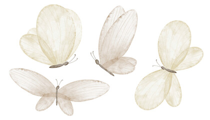 Butterfly Watercolor clipart set in soft neutral beige pastel colors. Illustrations of Insects with delicate wings for baby shower invitations, childish greeting cards of nursery design and posters. © Alisles