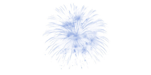 Dazzling blue fireworks burst against the dark night sky creating explosive display memorable festive holiday