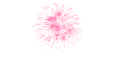 Bright pink fireworks explode spectacularly against dark night sky a dazzling celebration of joy festive events and pure