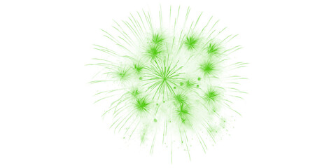Dynamic green fireworks burst vibrant pyrotechnic display illuminating dark night sky for festive celebration holiday