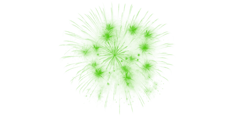 Dynamic green fireworks burst vibrant pyrotechnic display illuminating dark night sky for festive celebration holiday