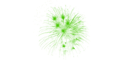 Stunning green fireworks light up the dark night sky a magnificent burst of color celebrating joy spectacle and festive