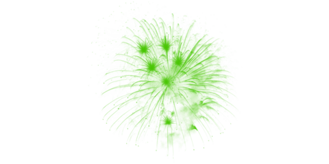 Stunning green fireworks light up the dark night sky a magnificent burst of color celebrating joy spectacle and festive