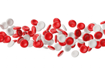 Red and white cells healthcare isolated on a transparent background