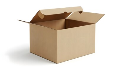 Open Plain Cardboard Box Isolated on White Background
