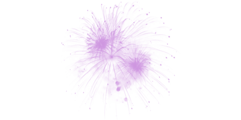 Majestic purple fireworks explode across the black night sky a dazzling light show Festive celebration event holiday