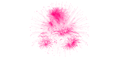 Vibrant pink fireworks light up the dark night sky a dazzling pyrotechnic celebration for festive events and joyous