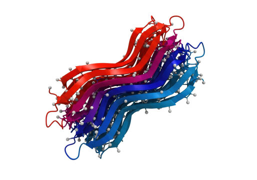 ultra-detailed 3d beta-sheet protein structure in dynamic perspective, thick glossy ribbon with crimson to sapphire gradient, translucent gray ball and stick side chains on transparent, scientific