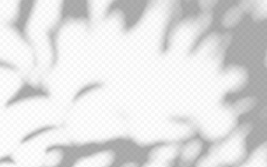 Shadow overlay from tree leaves. Soft shade from plant on a transparent background.