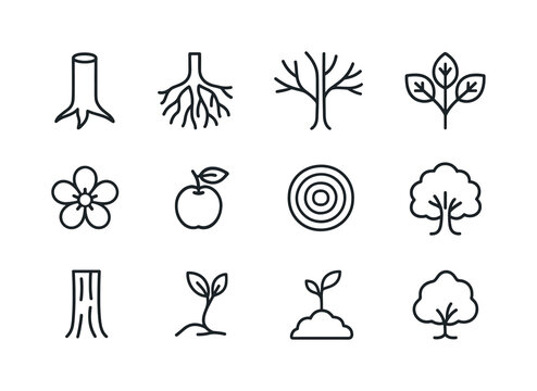 Tree Anatomy Icons. Tree anatomy. Line icon set of Tree anatomy: trunk, roots, branches, leaves cluster, blossom, fruit hanging, cross-section ring, tree