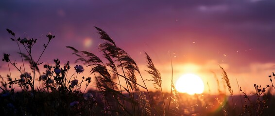 Fototapeta premium Tall grass silhouettes swaying in gentle breeze against vibrant purple and orange sunset sky with bright sun on horizon creating peaceful natural landscape scene.