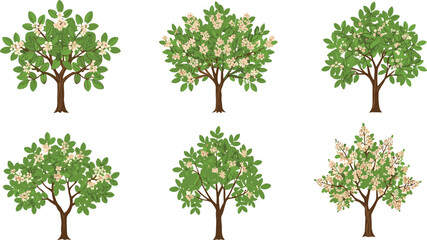 Obraz premium Beautiful blooming trees illustration vector with green leaves, spring flowers, decorative nature design, floral foliage, botanical artwork, and garden landscape