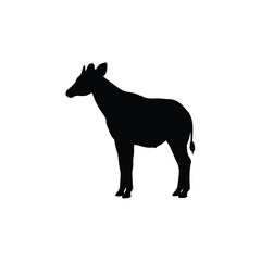 Okapi silhouette icon vector flat design.