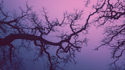 Tangled tree branch silhouette against a purple twilight sky with an eerie cinematic fantasy mood.
