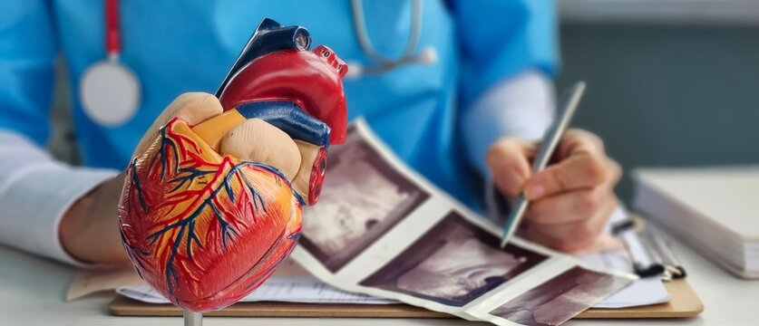 Cardiologist makes ultrasound of the heart in the clinic