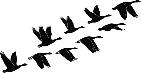 Flying goose silhouette flock in formation isolated black waterfowl wildlife vector illustration set symbolizing migration freedom nature sky movement journey © Creative Soul