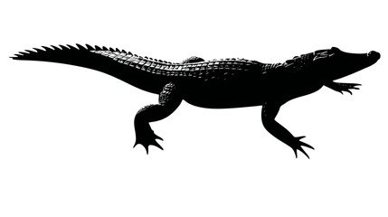 Obraz premium Silhouetted illustration of an alligator, showing details of scales, claws, and spiny tail