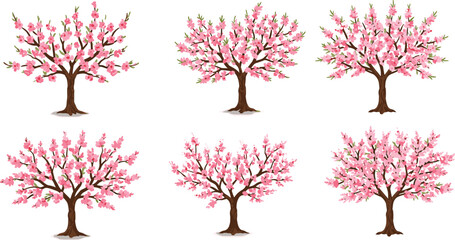 Obraz premium Beautiful cherry blossom tree illustration with delicate pink flowers and lush branches, perfect for botanical, decorative, seasonal, and spring-themed designs.