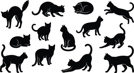 Cat silhouette set showing multiple playful walking sitting sleeping jumping feline poses isolated black pet vector illustration collection © Creative Soul