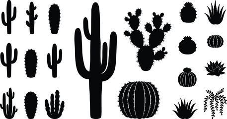 Cactus and succulent silhouette icon set showing desert plants shapes isolated black botanical vector illustration collection for modern design © Creative Soul