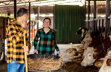 Male and female farmers working together on dairy farm taking care of cows.