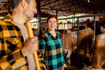 Male and female farmers working together on dairy farm taking care of cows.