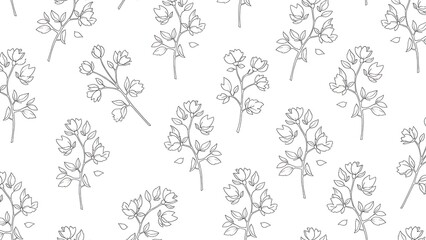 Delicate floral pattern with sketched wildflowers and botanical line art details