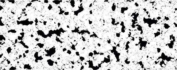 Black and White Quail Egg Shell Macro Texture Abstract