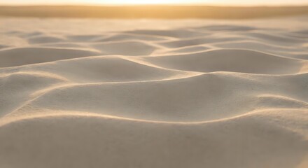 Smooth golden sand dunes with flowing curves and ripples creating natural wave patterns in warm desert landscape during sunset light.