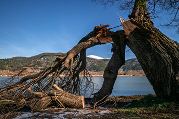 Fototapeta premium Peaceful Wetland Lake with Reeds and Mountains in Gölcük, Turkey 
