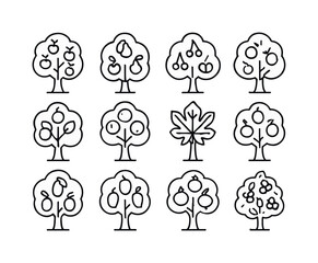 Obraz premium Fruit Tree Icons. Fruit trees. Line icon set of Fruit trees: apple tree, pear tree, cherry tree, peach tree, plum tree, citrus tree, fig tree, olive tree,