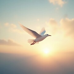 White Seagull Gliding Gracefully Through a Soft Sunset Sky