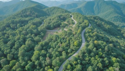 Aerial view of road in the middle of forest.Road curve construction up to mountain.Healthy environment concept and rainforest ecosystem.     




