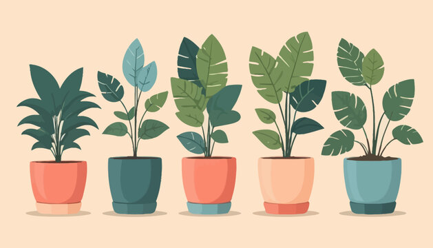 vector of plant on the pot