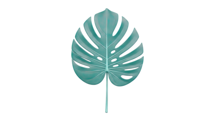 Teal Monstera Leaf on White Background