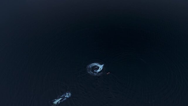 Three jet skis on a lake with small island at sunset