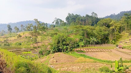 landscape of tuscany