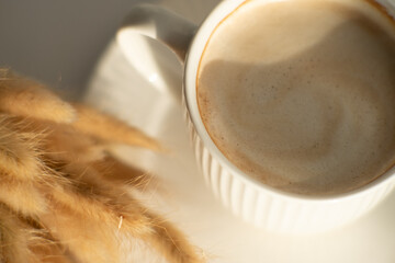 A cup of cappuccino with creamy foam and dried pampas grass in warm sunlight.