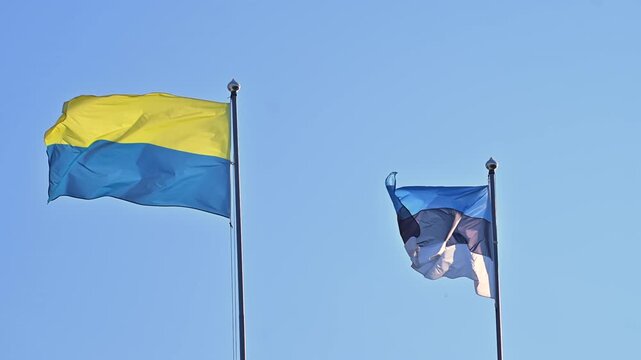 Ukrainian and Estonian Flags Waving Together in Wind Against Clear Blue Sky on Sunny Summer Day