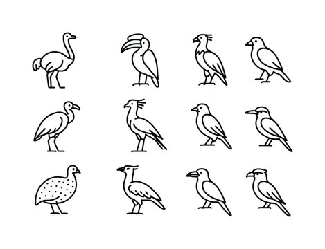 Savanna Bird Icons. Savanna Birds. Line icon set of Savanna Birds: ostrich, hornbill, vulture, marabou stork, secretary bird, weaverbird, guinea fowl, kori