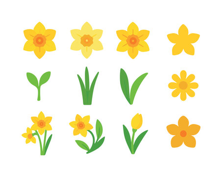 March Birth Flower Icons. March birth flowers. Colorful flat vector icons set of March birth flowers: daffodil bloom, jonquil flower, trumpet daffodil, yellow