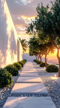 Sunset Pathway in Modern Outdoor Garden with Trees and Stone Tiles