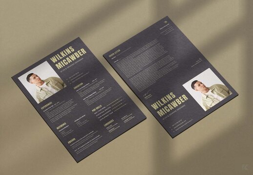 Creative Resume Template Layout