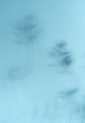 Minimalistic abstract light blue background with soft shadow for product presentation