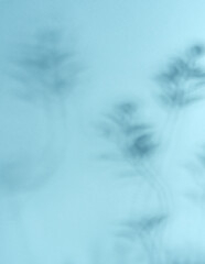 Minimalistic abstract light blue background with soft shadow for product presentation